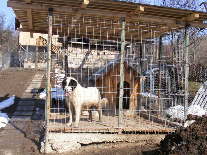 boxa facuta de mine - barsana