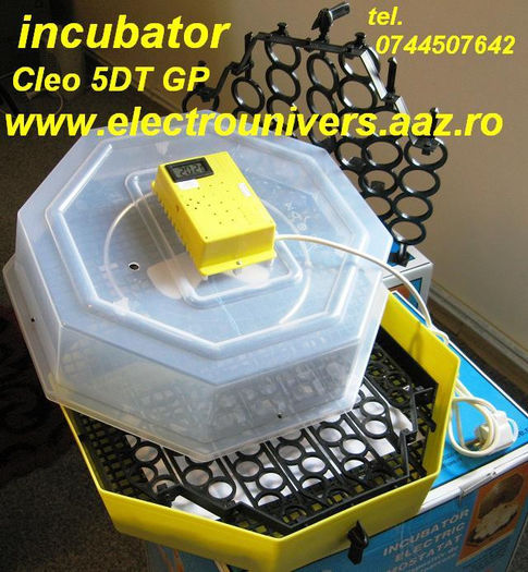 incubator prepelita cleo5DTGP; Incubatorul Cleo 5DTGP =180 lei, capac transparent, cu termometru (T) si dispozitive semiautomate de intoarcere a oualor de gaina (G) si de prepelita (P) este adresat celor care doresc sa scoata fara
