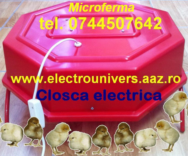 microferma, eleveoze pui; Eleveoze pentru pui de pasare. Closca electrica. Microferma incalzitor pui  = 70 lei .  Este o instalatie care genereaza caldura pentru incalzirea puilor iesiti din incubator. Este destinata imbunata
