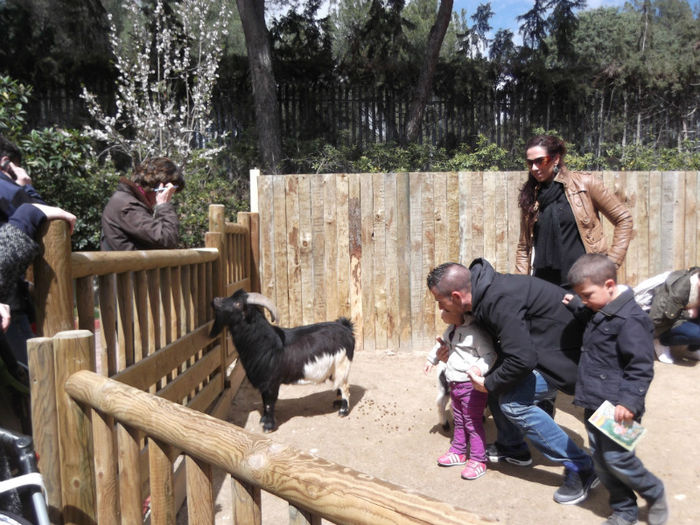 024 - z   Cu  familia  in Zoo Madrid