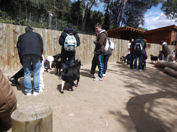 025 - z   Cu  familia  in Zoo Madrid