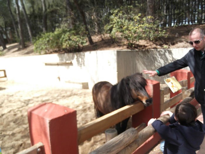 026 - z   Cu  familia  in Zoo Madrid