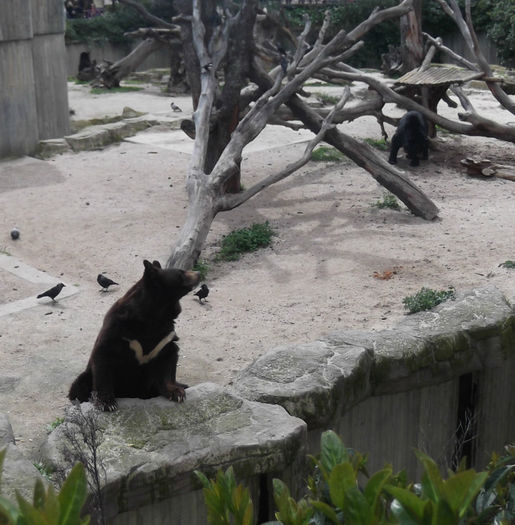 030 - z   Cu  familia  in Zoo Madrid