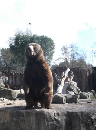 149 - z   Cu  familia  in Zoo Madrid