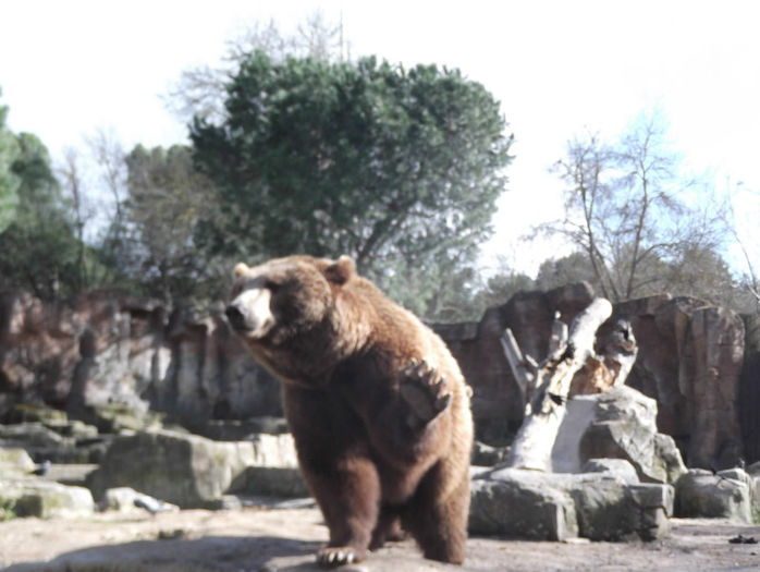 152 - z   Cu  familia  in Zoo Madrid