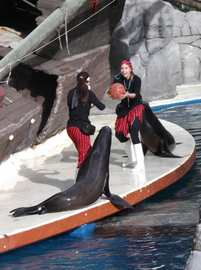 184 - z   Cu  familia  in Zoo Madrid