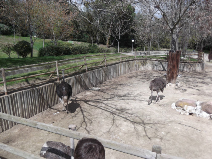 044 - z   Cu  familia  in Zoo Madrid