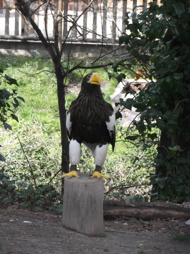 104 - z   Cu  familia  in Zoo Madrid