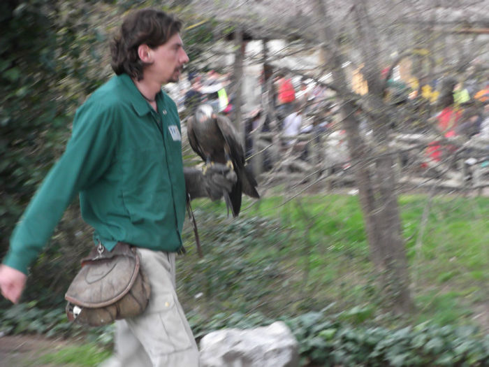 121 - z   Cu  familia  in Zoo Madrid