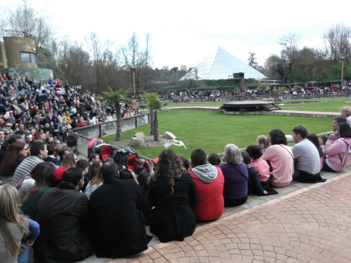 117 - z   Cu  familia  in Zoo Madrid