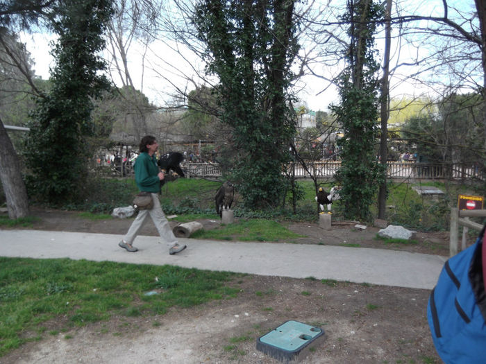 120 - z   Cu  familia  in Zoo Madrid