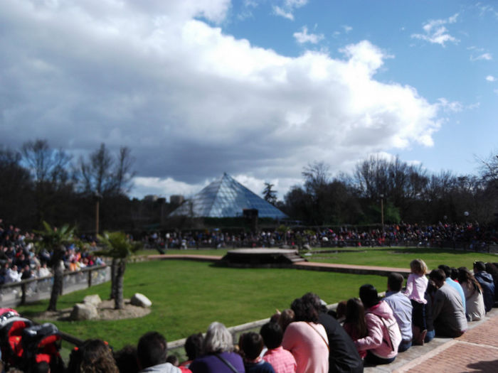 126 - z   Cu  familia  in Zoo Madrid