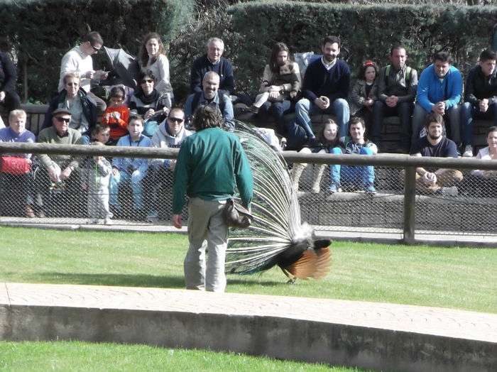 128 - z   Cu  familia  in Zoo Madrid