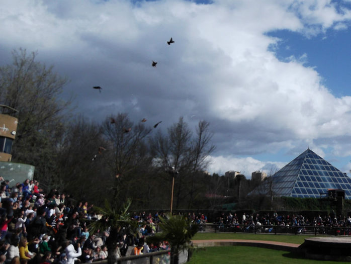 nu   ma  asteptam  sa  vad  si  jucatori  in  spectacol - z   Cu  familia  in Zoo Madrid