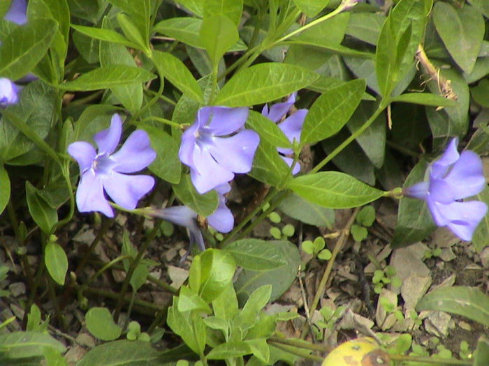 Un strop de prospetime!