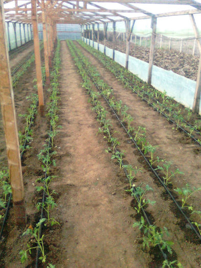 rosii antalya 30.03.2013