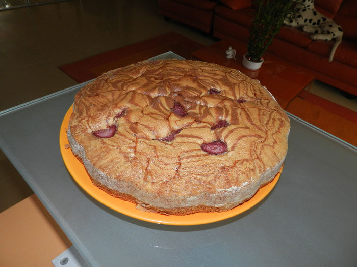 DSCN1304