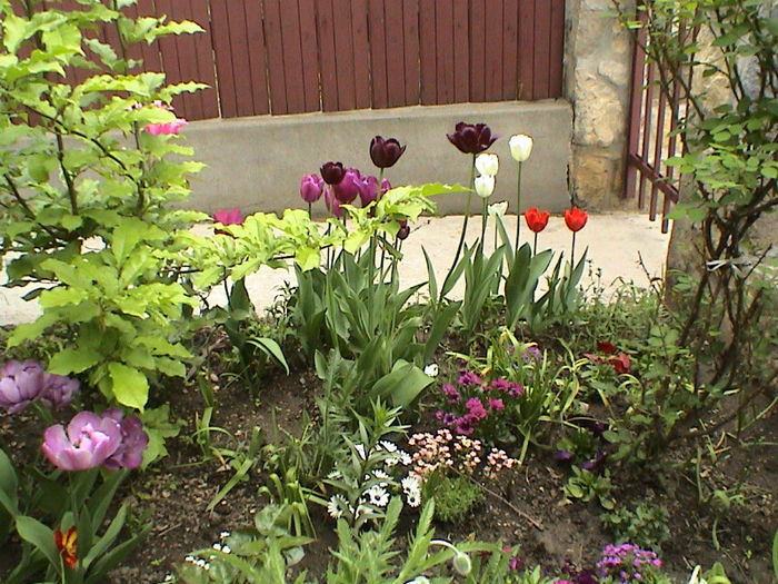 DSC00078