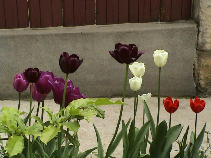 DSC00079