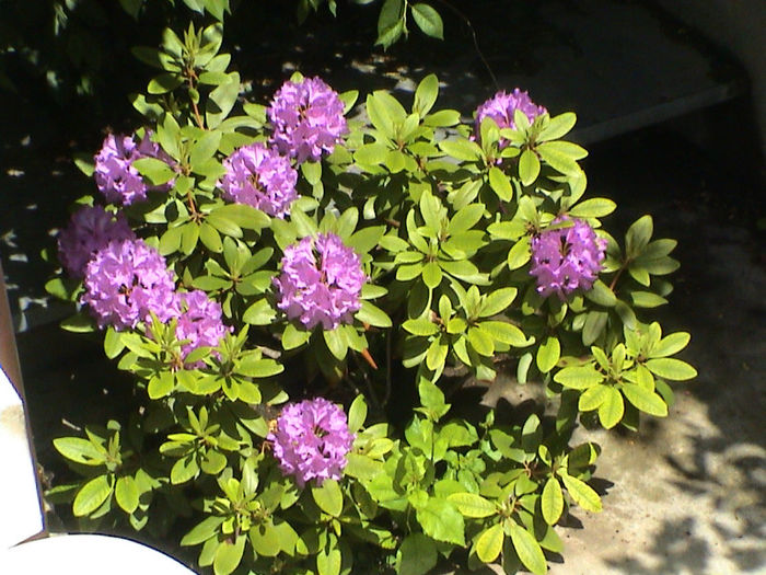 DSC00080