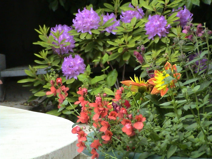 DSC00086 (2)