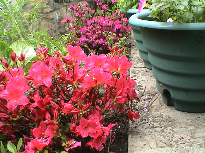 DSC00086
