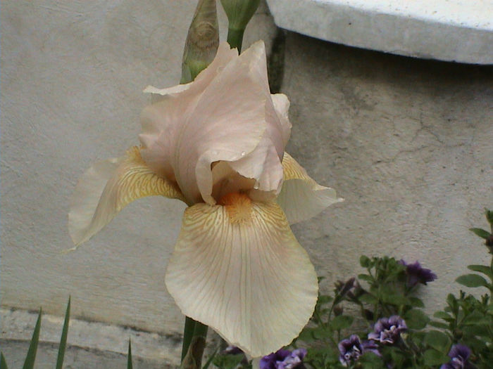 DSC00088