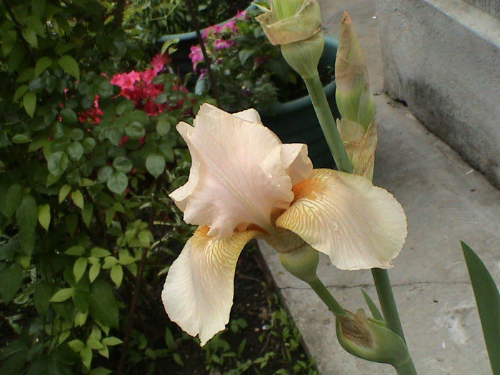 DSC00089