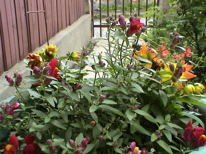 DSC00092 (2)
