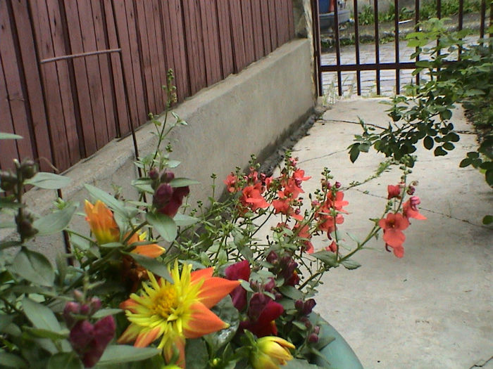 DSC00093
