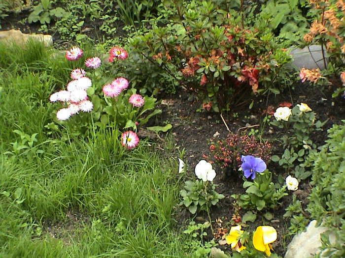 DSC00112