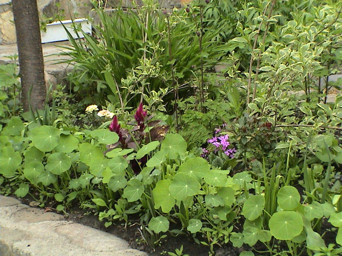 DSC00114