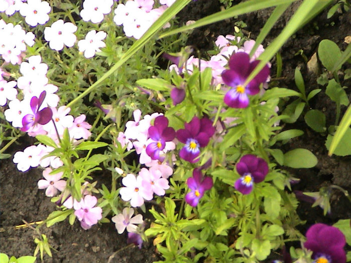 DSC00128