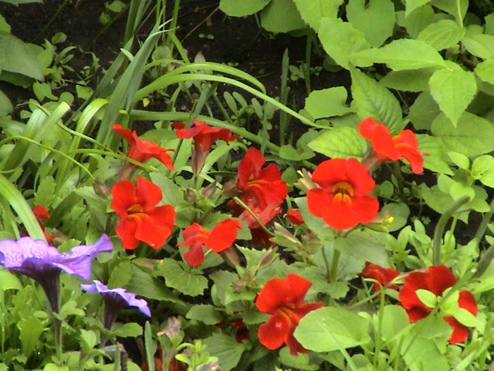 DSC00135