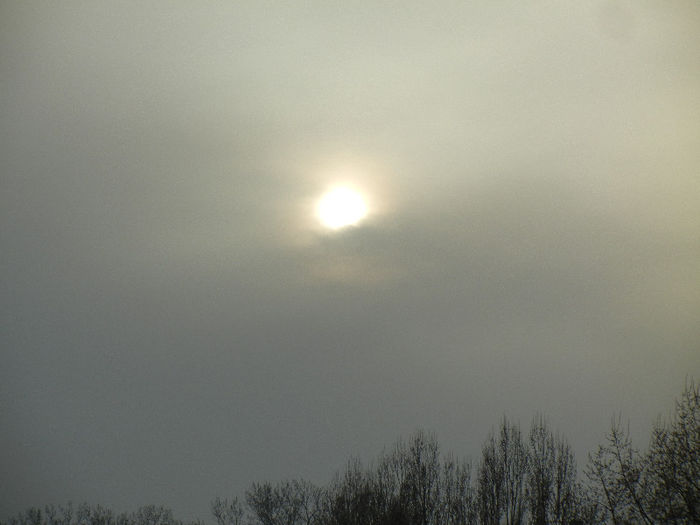 Spring Sun (2013, March 30, 5.47 PM)