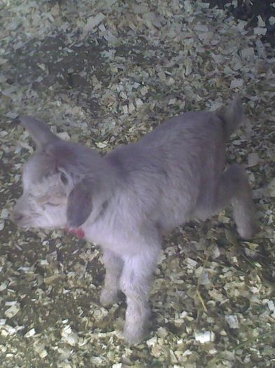 Copy (2) of Imag9110