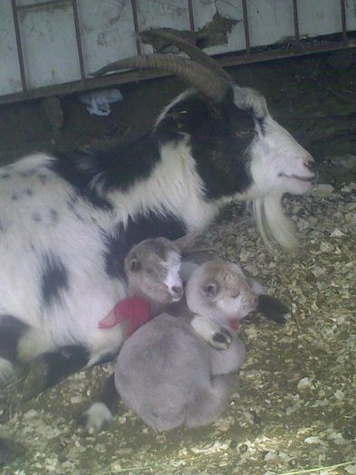 Copy (3) of Imag9098