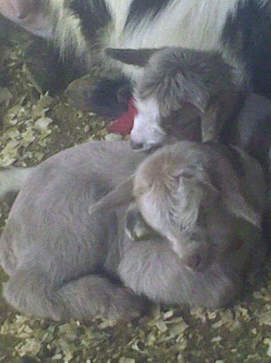 Copy (3) of Imag9101