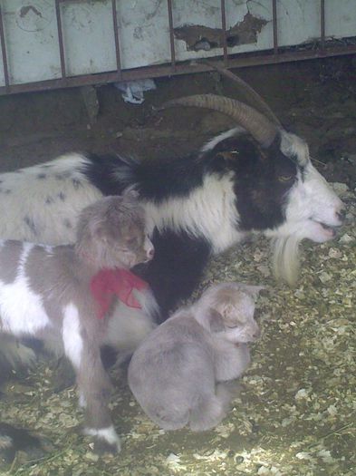 Copy (4) of Imag9094