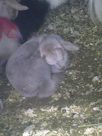 Copy (4) of Imag9095