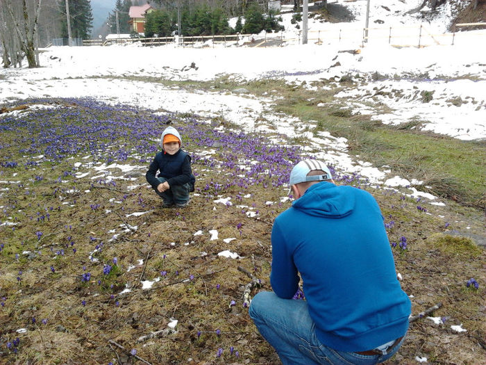 2013-03-31 12.34.15 - La voina martie