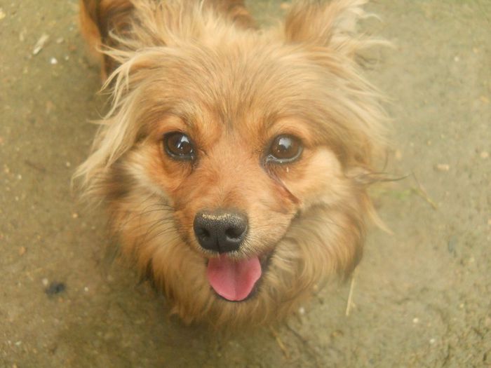 am gasit-o pe marginea unui drum