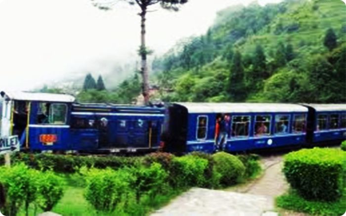 Darjeeling (Bengalul de vest) - x-Obiective turistice-India-x