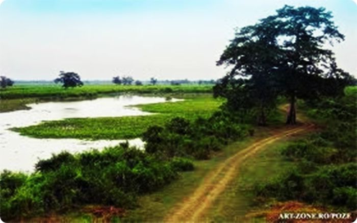 Parcul national Kaziranga langa raul Brahmaputra - x-Obiective turistice-India-x