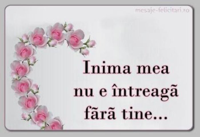 inima_mea_fara_tine.jpg_480_480_0_64000_0_1_0