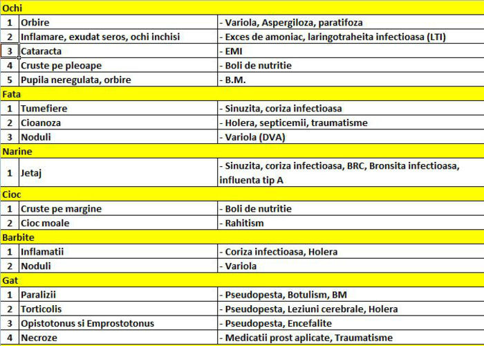 Diagnostic rapid 3 - Diagnosticare boli gaini