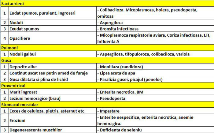 Diagnostic rapid 5 - Diagnosticare boli gaini