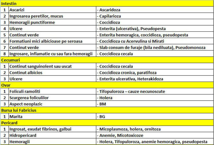 Diagnostic rapid 6 - Diagnosticare boli gaini