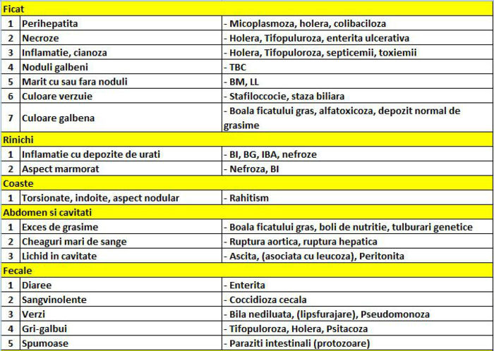 Diagnostic rapid 7 - Diagnosticare boli gaini