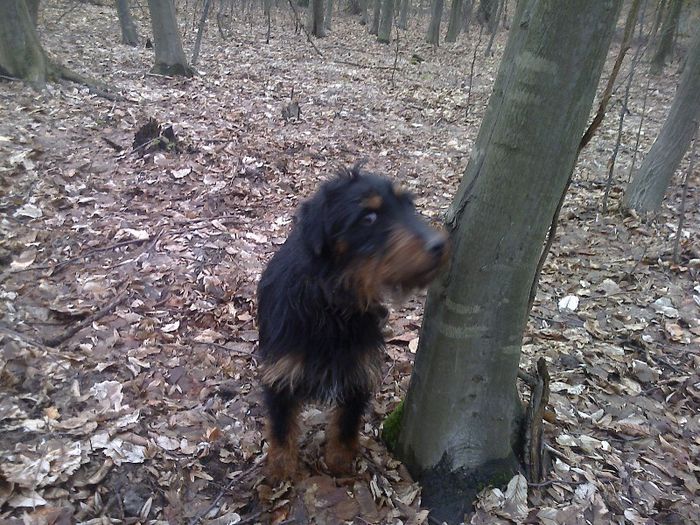 FĂ©nykĂ©p0714[1]